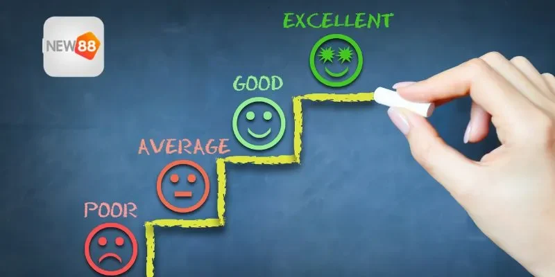 Trải nghiệm tổng quan giữa hai thương hiệu cá cược nổi bật